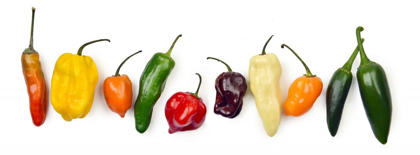 authentic mexican restaurant